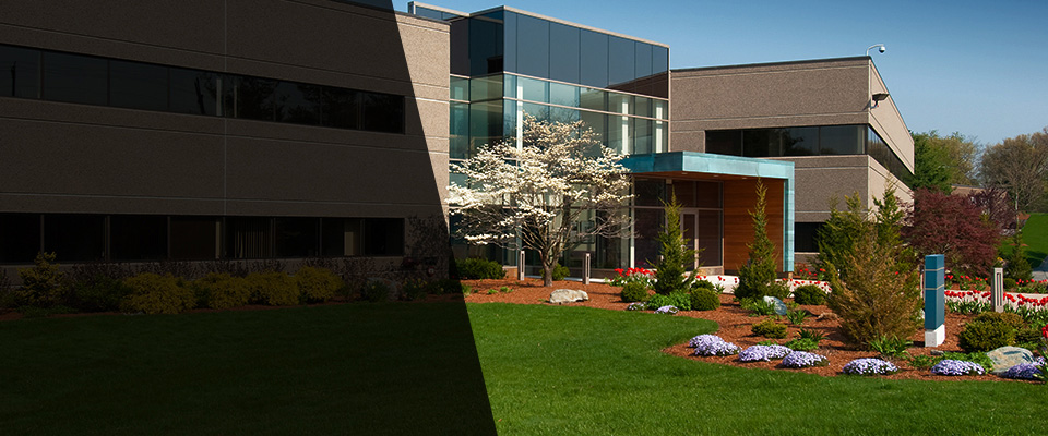 Harrington Park Landscapers