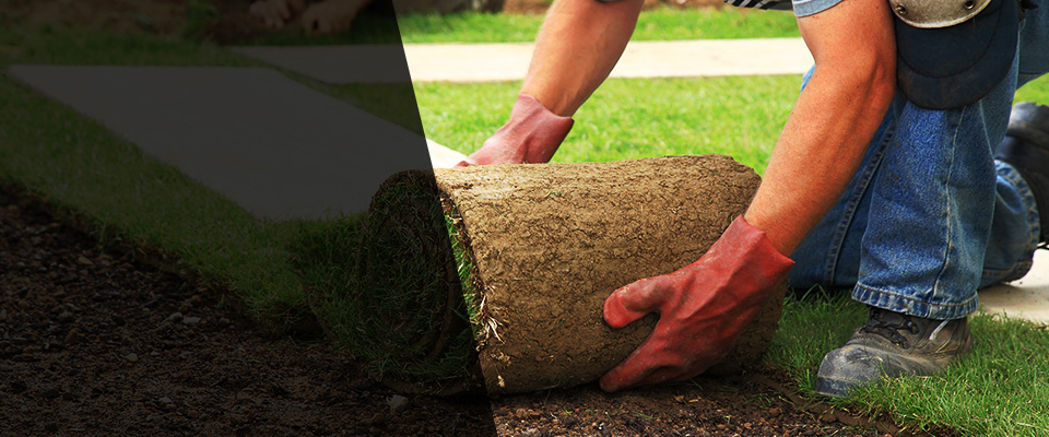 Harrington Park Landscapers